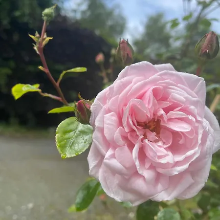 Daire Chic Retreat With A Beautiful Sea View Milford