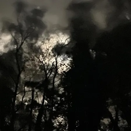 Chic Retreat With A Beautiful Sea View *