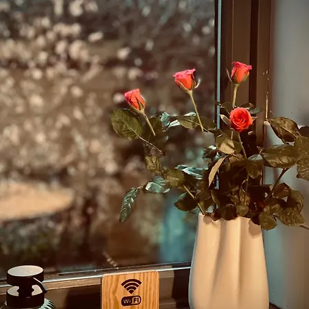 Chic Retreat With A Beautiful Sea View *