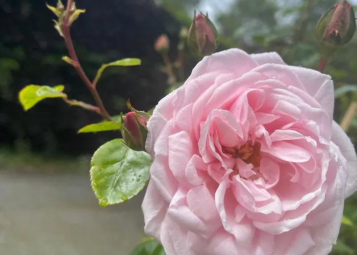 アパート Chic Retreat With A Beautiful Sea View マイルフォード